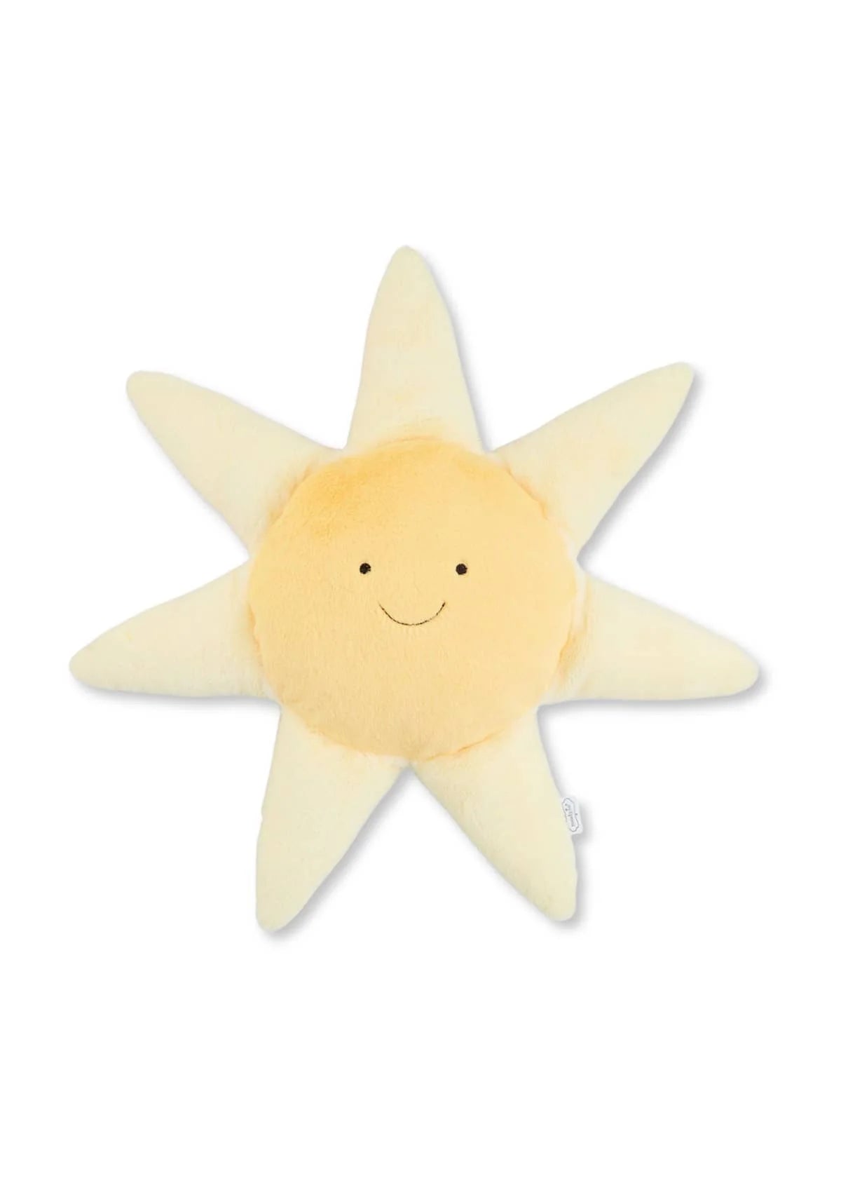 Sun Learning Pal