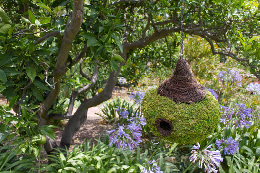 Bird House Woven Raindrop