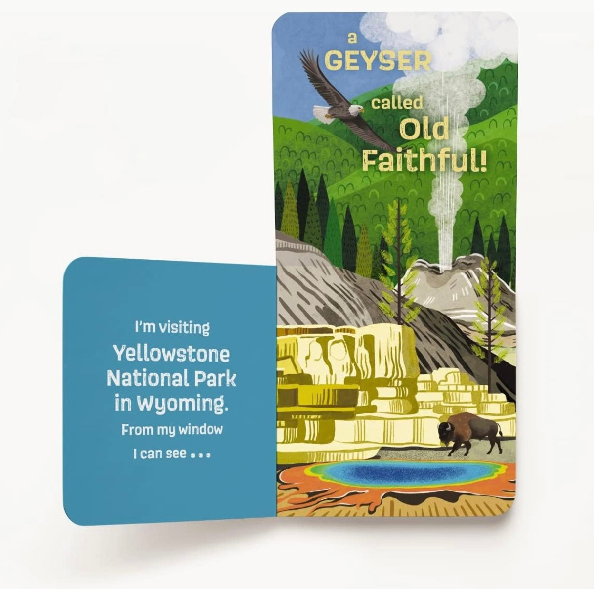 Windows To The National Parks, a Lift the Flap Board Book