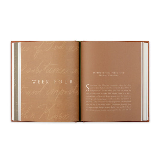 God of Forever by Haylee J. Williams Devotional