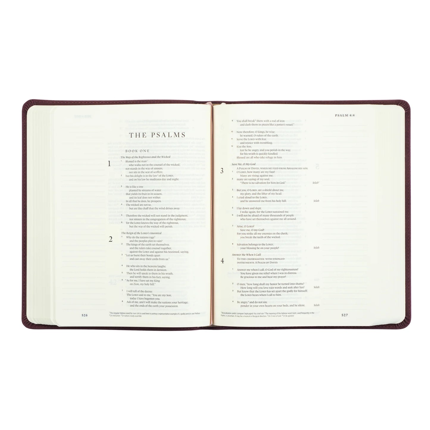Hosana Revival ESV Journaling Bible: Helena Theme