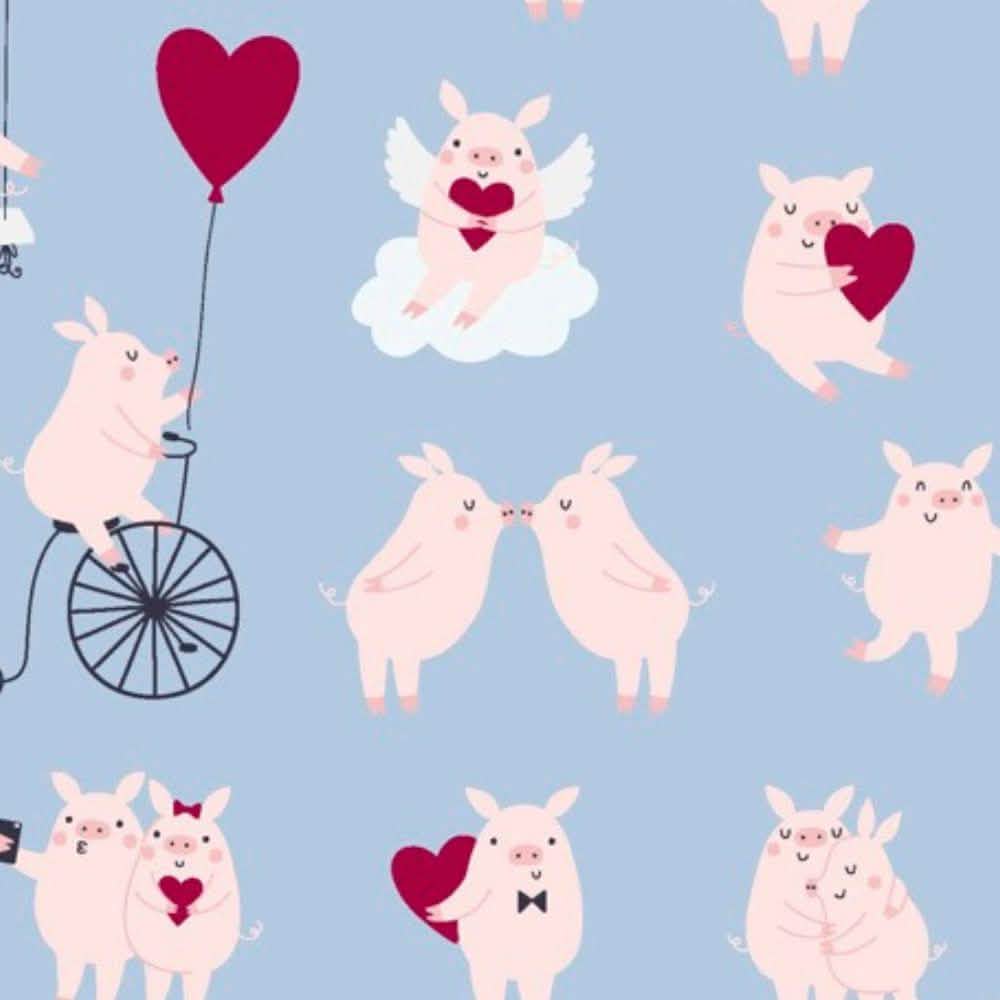 CuPig Magnetic Footie