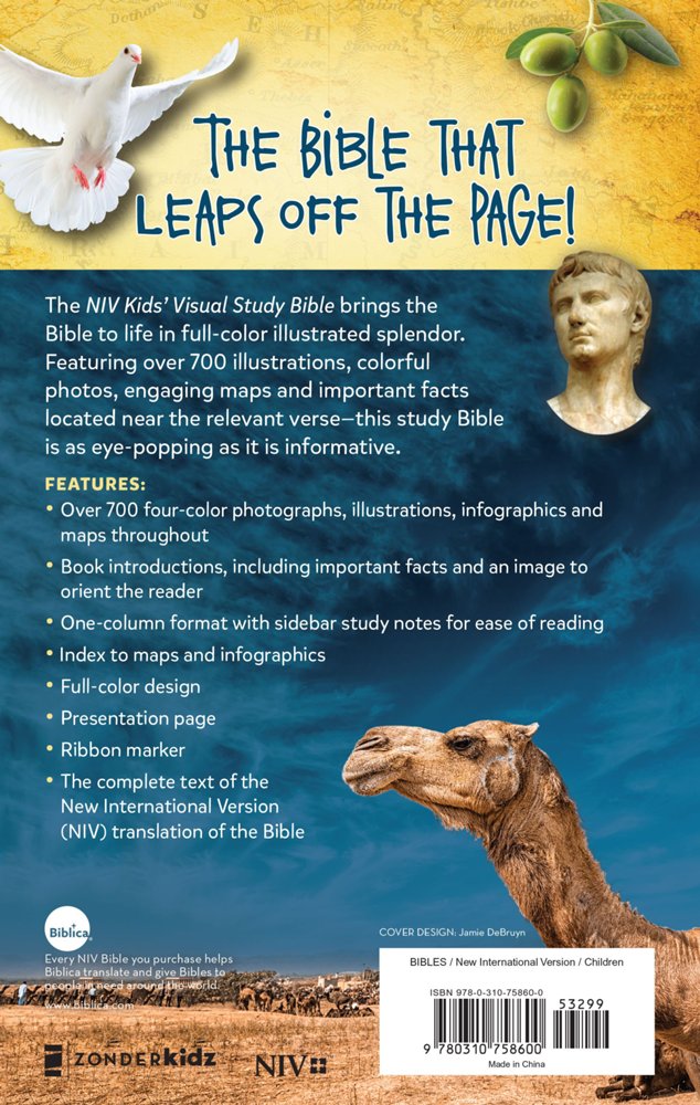 Kids Visual Study Bible- Bronze