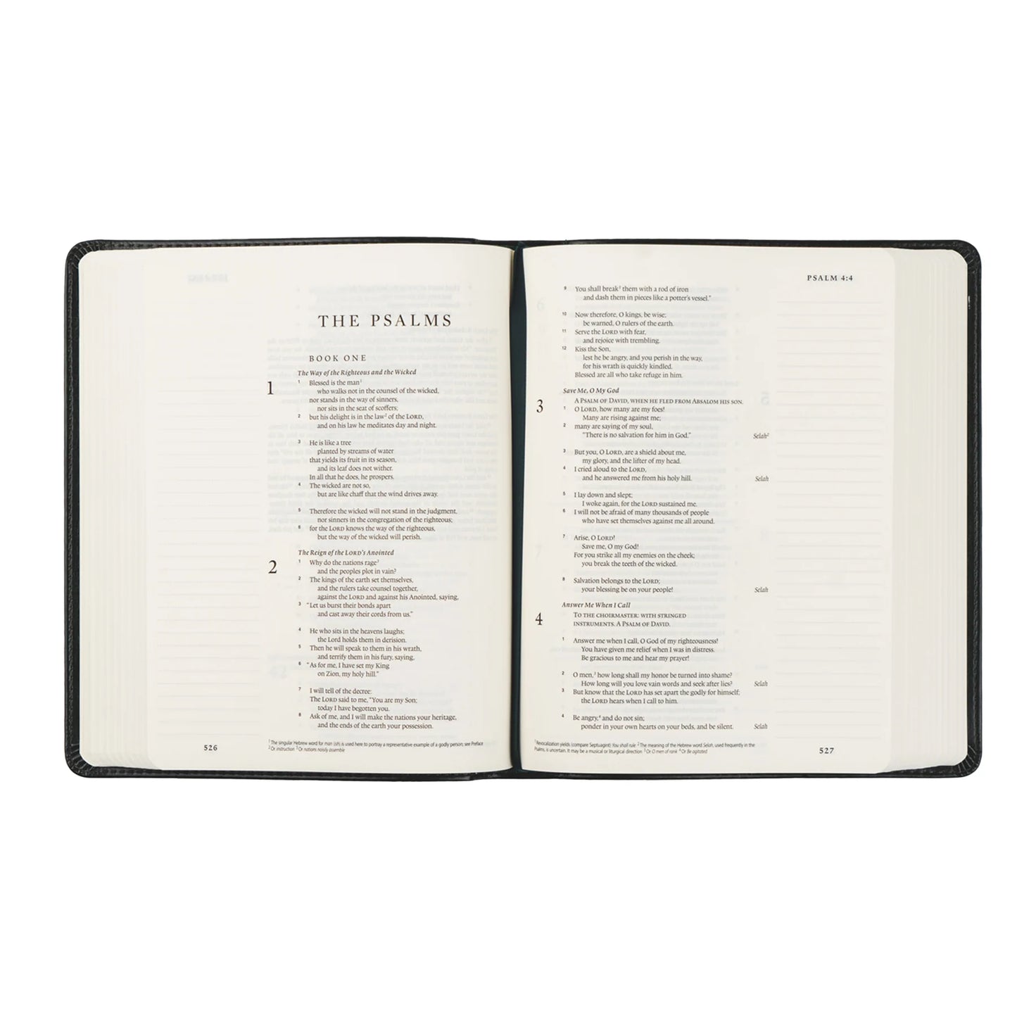 Hosanna Revival ESV Large Print Bible - Hyde Park