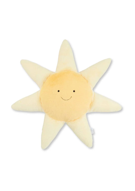 Sun Learning Pal