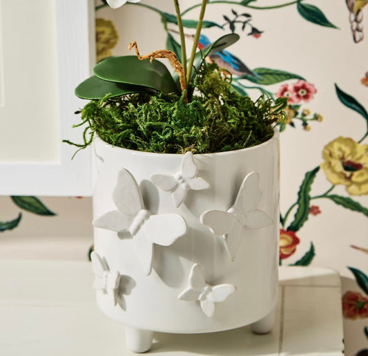 Butterfly Footed Cachepot
