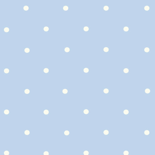 Pin Dot Blue Gown & Hat Set (NB-3M)