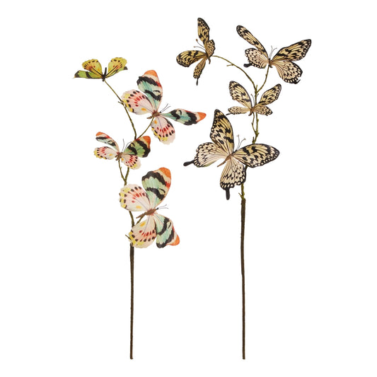 Butterfly Spray