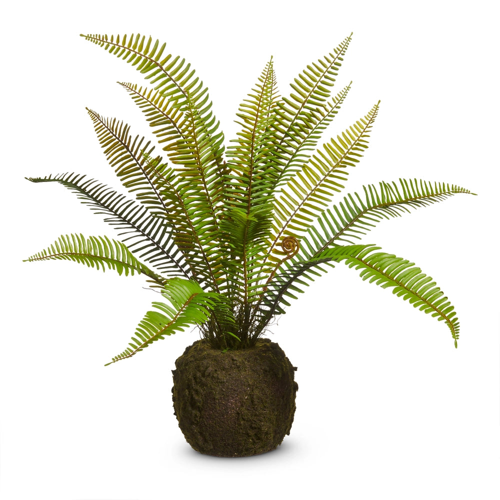 26” Moss Fern Drop In