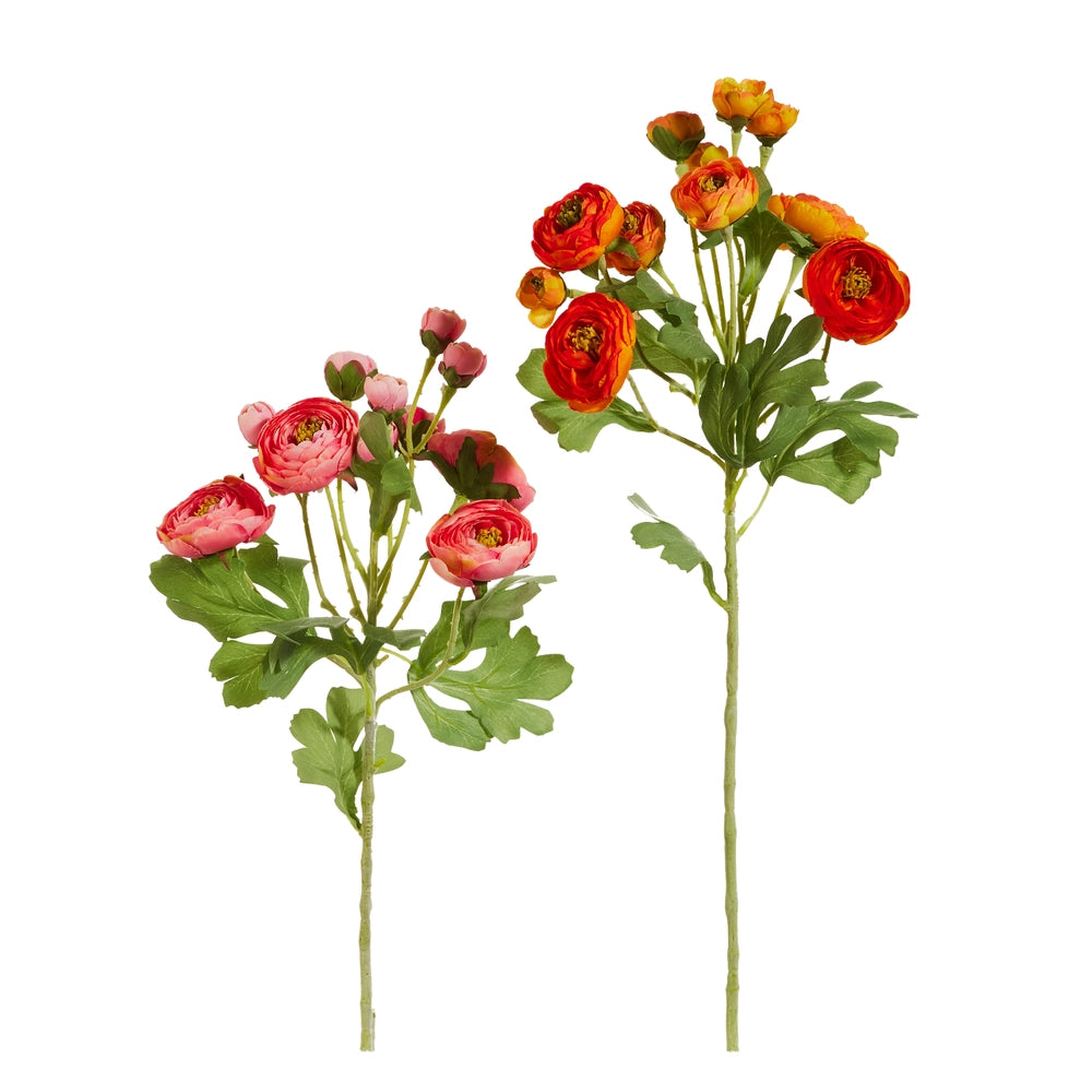 Ranunculus Spray