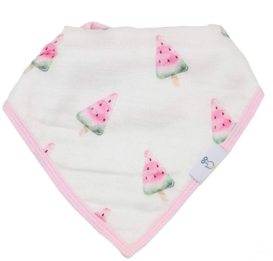 Watermelon Popsicle & Flowers 2 Pack Muslin/Terry Cloth Bib Set