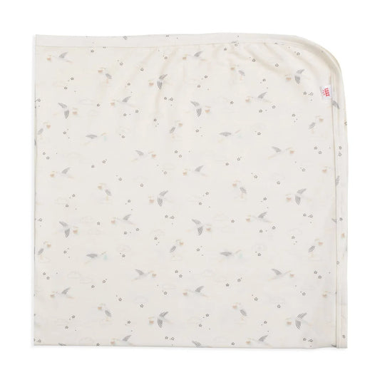 Beary Special Delivery Baby Blanket