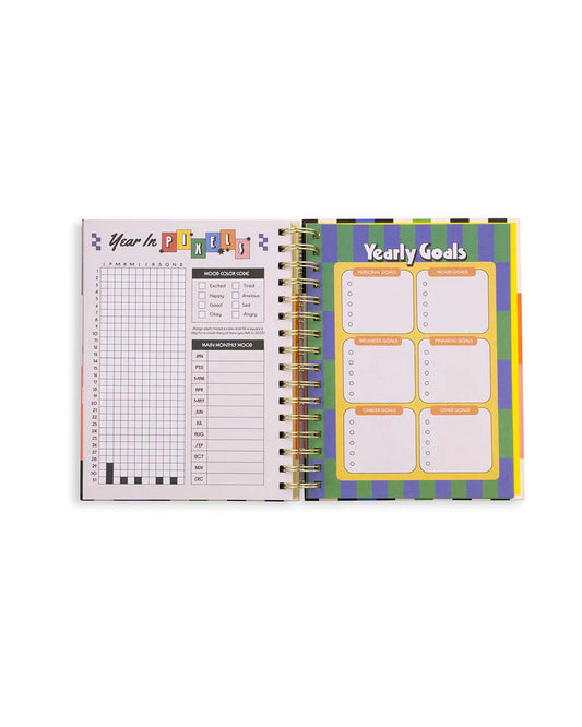 17 Month 2024-2025 Planner, Black Stripes