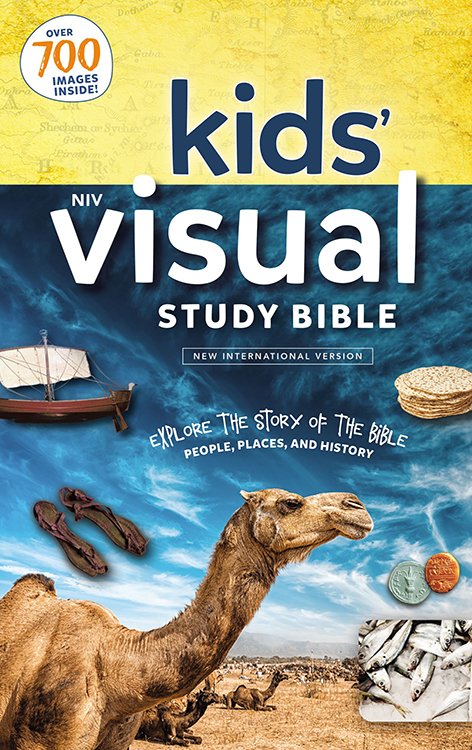 Kids Visual Study Bible- Bronze