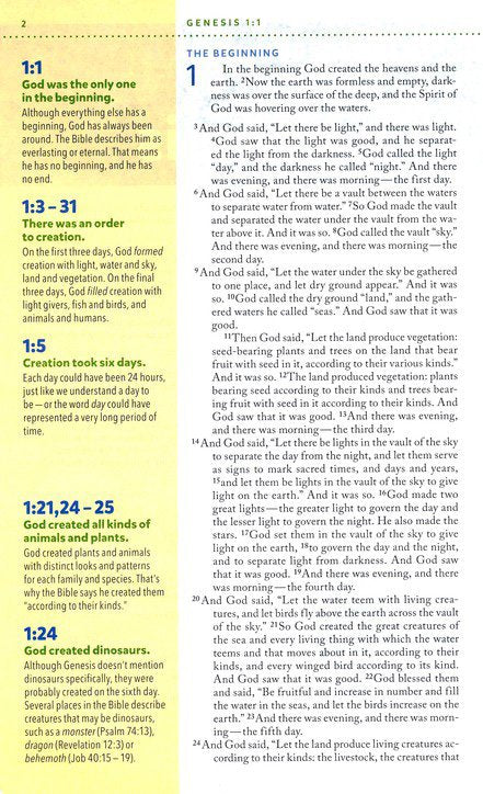 Kids Visual Study Bible- Bronze