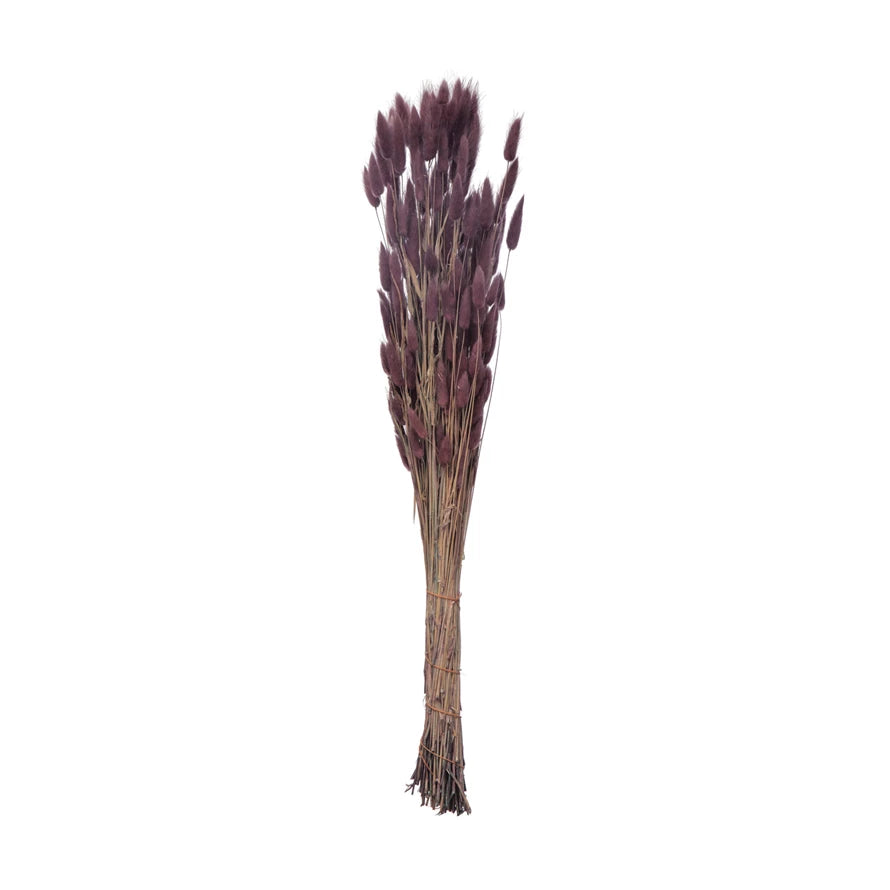 31" Dried Natural Bunny Tail Bunch, Lavender