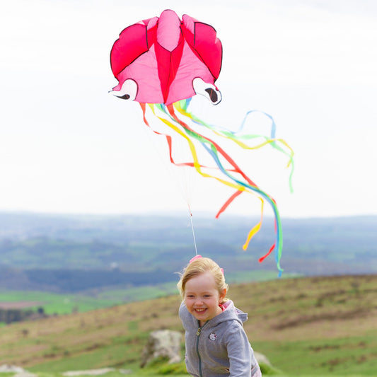 Octopus Kite