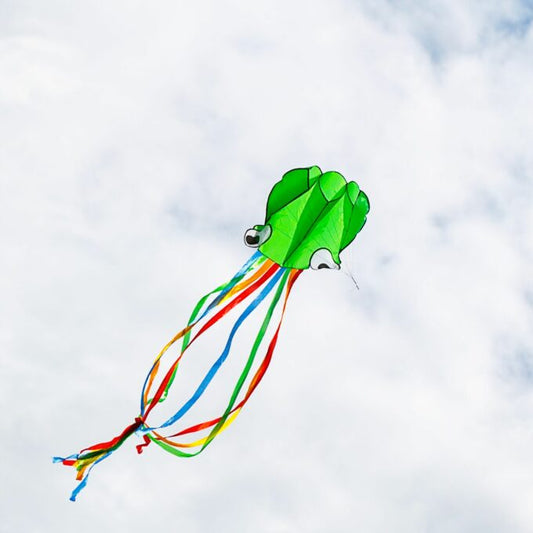 Octopus Kite